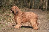 BRIARD 017